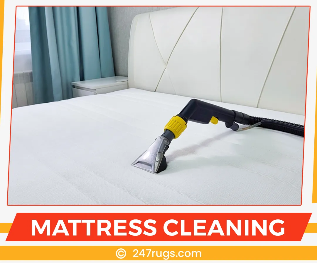carpet cleaning in suffolk, carpet cleaning suffolk, carpet cleaners in suffolk, carpet cleaners in suffolk, commercial carpet cleaning, commercial carpet cleaning in suffolk, suffolk rug cleaners, rug cleaning services in suffolk, same day carpet cleaning, same day rug cleaning in suffolk